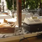 Lägenhetshotell Naxos Summerland