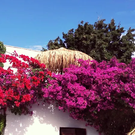 Naxos Summerland 3*