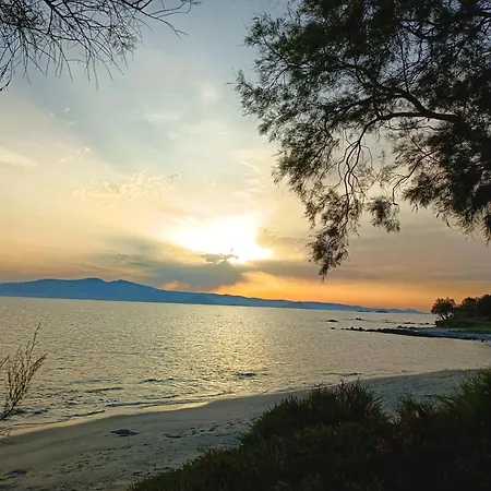 Naxos Summerland