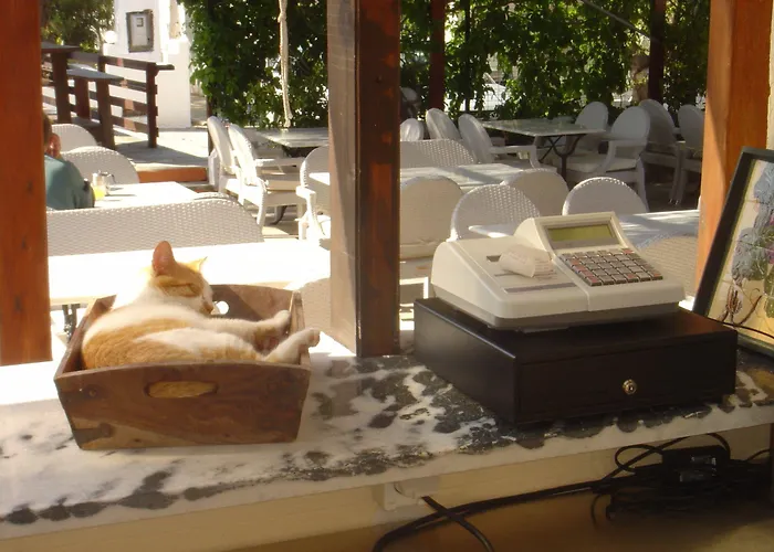 Aparthotel Naxos Summerland